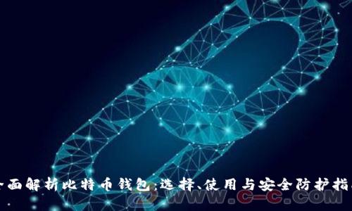 全面解析比特币钱包:选择、使用与安全防护指南
