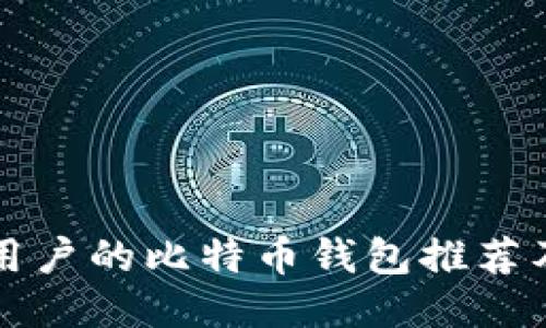 支持大陆用户的比特币钱包推荐及使用指南