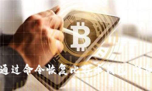 如何通过命令恢复比特币钱包:详细指南