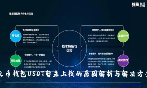火币钱包USDT暂未上线的原因解析与解决方案
