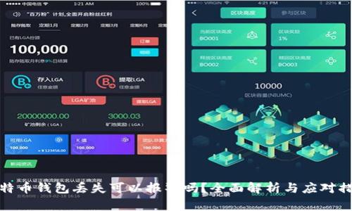 比特币钱包丢失可以报警吗?全面解析与应对措施