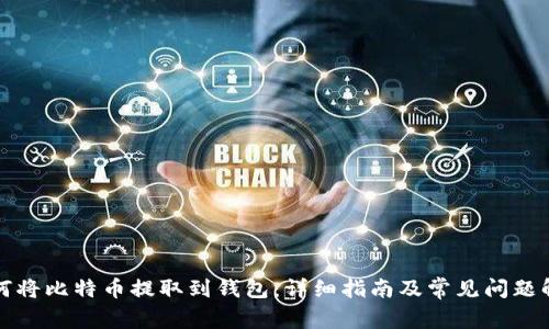 如何将比特币提取到钱包:详细指南及常见问题解答