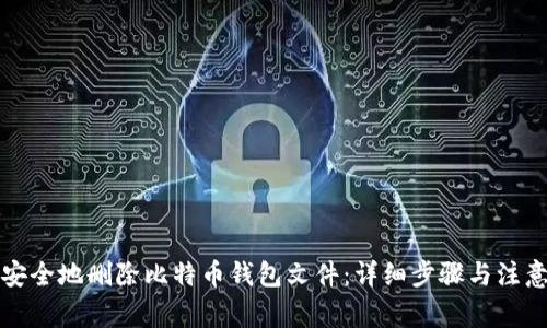 如何安全地删除比特币钱包文件:详细步骤与注意事项