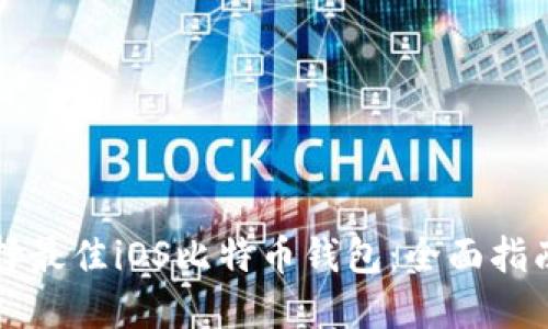 如何选择最佳iOS比特币钱包:全面指南与推荐