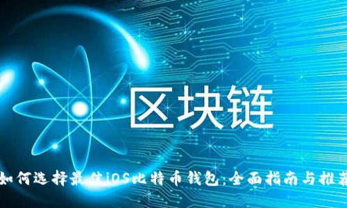 如何选择最佳iOS比特币钱包:全面指南与推荐
