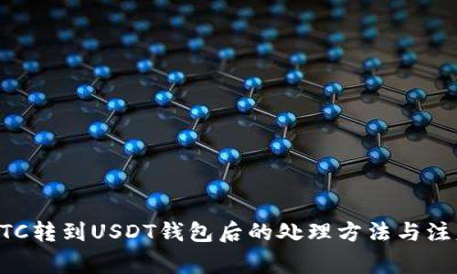 误把BTC转到USDT钱包后的处理方法与注意事项