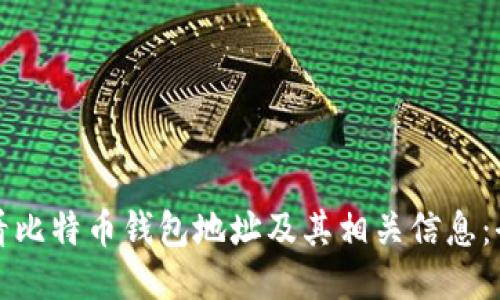 如何查看比特币钱包地址及其相关信息:全面指南