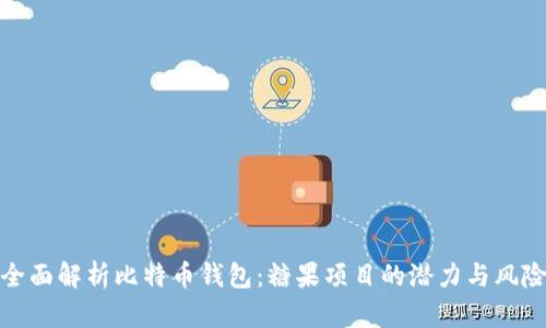 全面解析比特币钱包:糖果项目的潜力与风险