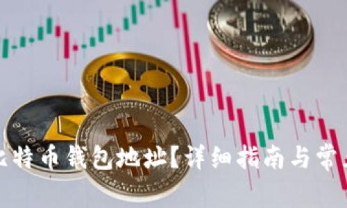 如何查询比特币钱包地址?详细指南与常见问题解答