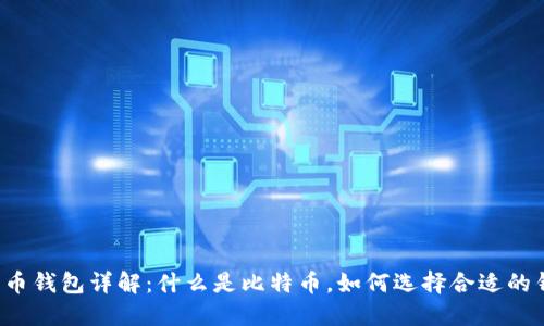 比特币钱包详解:什么是比特币,如何选择合适的钱包?