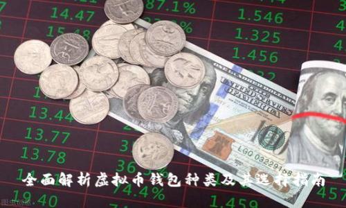 全面解析虚拟币钱包种类及其选择指南