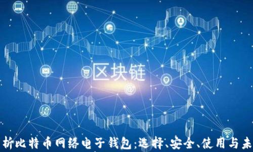 
全面解析比特币网络电子钱包：选择、安全、使用与未来发展