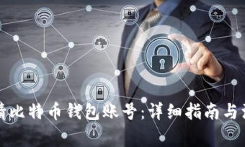 如何申请比特币钱包账号：详细指南与注意事项