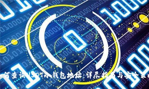 如何查询USDT冷钱包地址:详尽指南与安全策略