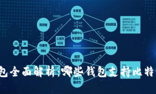 货币钱包全面解析：哪些钱包支持比特币存储？