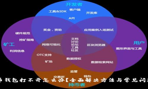 比特币钱包打不开怎么办?全面解决方法与常见问题解析