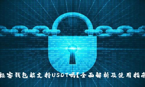 极客钱包能支持USDT吗?全面解析及使用指南