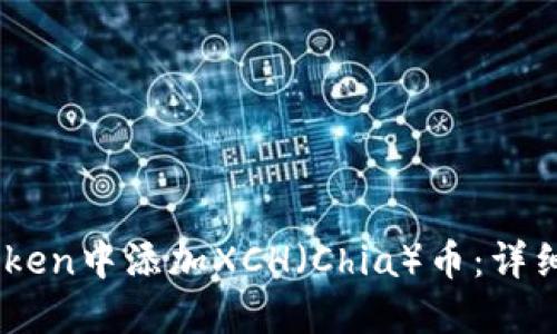 如何在ImToken中添加XCH（Chia）币：详细步骤与指南
