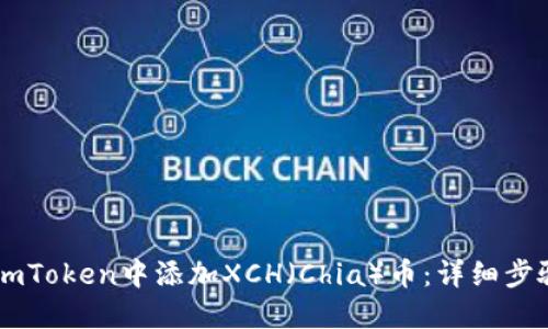 如何在ImToken中添加XCH（Chia）币：详细步骤与指南