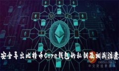 如何安全导出比特币Core钱