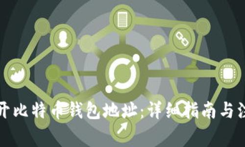 如何打开比特币钱包地址：详细指南与注意事项