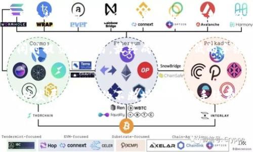   比特币冷钱包转账手续费的全面解析与策略 / 
 guanjianci 比特币, 冷钱包, 转账手续费 /guanjianci 

引言
比特币作为一种去中心化的数字货币，在近年来逐渐走入大众的视野。伴随着其价值的波动，如何安全、经济地进行比特币的转账成为了广大用户关注的重点。其中，比特币冷钱包因其安全性而被广泛使用，然而关于冷钱包转账手续费的问题却往往令许多用户感到困惑。在这篇文章中，将深入探讨比特币冷钱包的转账手续费，分析影响手续费的各类因素，并提供相关的建议，以帮助用户在转账过程中做出更明智的选择。

什么是比特币冷钱包？
比特币冷钱包是保存比特币私钥的一种离线存储方式。与热钱包不同，冷钱包不与互联网连接，因此它的安全性相对更高。对于长期持有比特币的投资者来说，冷钱包是一个理想的选择，可以有效防止黑客攻击和恶意软件的侵入。

为什么要关注比特币冷钱包转账手续费？
在进行比特币转账时，手续费是一个不可避免的话题。手续费不仅关系到转账的成本，而且在某些情况下，还会影响转账的速度。用户往往希望以最低的手续费完成转账，这与比特币的交易机制有关。比特币网络通过打包交易并将其添加到区块中来进行交易，而矿工通常会优先选择手续费较高的交易，因此，了解手续费的形成机制显得尤为重要。

比特币转账手续费的构成
比特币转账手续费主要由以下几个部分构成：
ul
    listrong交易优先级：/strong矿工在选择打包交易时，会优先考虑手续费较高的交易。因此，用户若希望自己的交易快速确认，通常需要支付更高的手续费。/li
    listrong网络拥堵情况：/strong比特币网络的运行是受到区块容量限制的，当网络拥堵时，交易的确认时间可能会延长，此时支付更高的手续费可提升交易的优先级。/li
    listrong输入输出数量：/strong每一次交易的输入和输出数量也会影响手续费的计算。一般来说，输入输出数量越多，手续费也相应增加。/li
/ul

如何计算比特币冷钱包转账手续费？
手续费的计算并不是一个简单明了的过程，用户可以参考以下几种方法来估算可能的手续费：
ul
    listrong在线手续费计算器：/strong许多网站提供比特币手续费计算服务，用户可输入交易金额和其他信息，系统会自动计算出建议的手续费范围。/li
    listrong参考矿工费指数：/strong某些网站（如BTC.com）会提供实时矿工费的统计数据，用户可以据此动态调整自己的手续费设置。/li
    listrong历史交易数据：/strong分析自己和他人的历史交易数据，观察过去的交易手续费水平，可以帮助用户做出更好的决策。/li
/ul

转账手续费的策略
为了降低比特币冷钱包转账时的手续费，用户可以采取以下几种策略：
ul
    listrong选择合适的转账时机：/strong避开比特币网络拥堵的高峰期，选择网络比较通畅的时候进行转账，可以降低手续费。/li
    listrong适当调整手续费：/strong在设置转账手续费时，可以根据实际需要适当降低手续费，尽量在能被矿工接受的范围内进行设置。/li
    listrong批量转账：/strong如果需要进行多笔转账，考虑将多笔交易合并为一笔交易，以降低整体手续费。/li
    listrong使用SegWit地址：/strongSegregated Witness（SegWit）技术可以有效降低交易的字节大小，从而降低手续费支出，应优先考虑使用SegWit地址进行交易。/li
/ul

冷钱包转账手续费的未来趋势
随着比特币生态的不断发展，冷钱包转账手续费也可能会经历一系列变化。例如，随着技术的进步，新的协议和方案可能会出现，进而降低手续费。同时，更多的用户参与比特币网络，竞争将促使手续费更加透明和公平。

未来可能还会出现更多基于区块链的工具，帮助用户动态转账手续费。例如，一些应用可能会自动为用户选择最佳的交易时机，或者根据实时网络状况自动调整费用设定。这些新技术将进一步简化用户的使用过程，提高资金转账的效率。

案例分析
为了更直观地理解比特币冷钱包转账手续费的影响，以下为几个实际案例分析：
案例一：小李是一位比特币长期投资者，他将在冷钱包中存放的比特币转账至交易平台进行交易。小李在交易高峰期设置了一笔较高的手续费，最终成功在30分钟内完成了转账。然而，他在交易后的分析中发现，如果在非高峰期进行转账，可以节省一半的手续费。这个案例提醒用户选择合适的时间进行转账，以降低成本。

案例二：小王在冷钱包内管理多笔小额比特币，他考虑将这些小额比特币合并成一笔大额转账，以一次性支付较低手续费。在进行这笔合并转账时，他使用了SegWit地址，并在网络相对较为空闲时提交了交易，最终成功以最低的手续费完成了转账。这个案例展示了如何通过合并交易来手续费。

总结
比特币冷钱包转账手续费是用户在进行比特币交易时必须关注的重要环节。通过深入了解手续费的构成以及策略，用户可以更加高效、经济地管理和转移自己的数字资产。展望未来，随着技术的发展和用户的不断增长，转账手续费的透明度和公平性将不断提升。同时，实时的网络数据和更的工具将不断涌现，帮助用户在日常使用中获得更多的便利。

只有在不断学习和实践中，才能真正驾驭比特币的转账机制，做到更好地管理自己的数字资产。希望每位比特币用户都能在转账过程中做出明智的选择，实现资产的安全与增值。