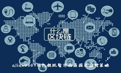 aliaoUSDT钱包提现暂停的原因及应对策略